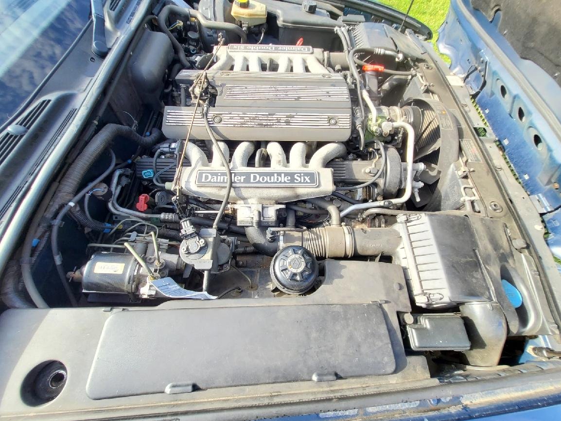 stažený soubor (3).jpg